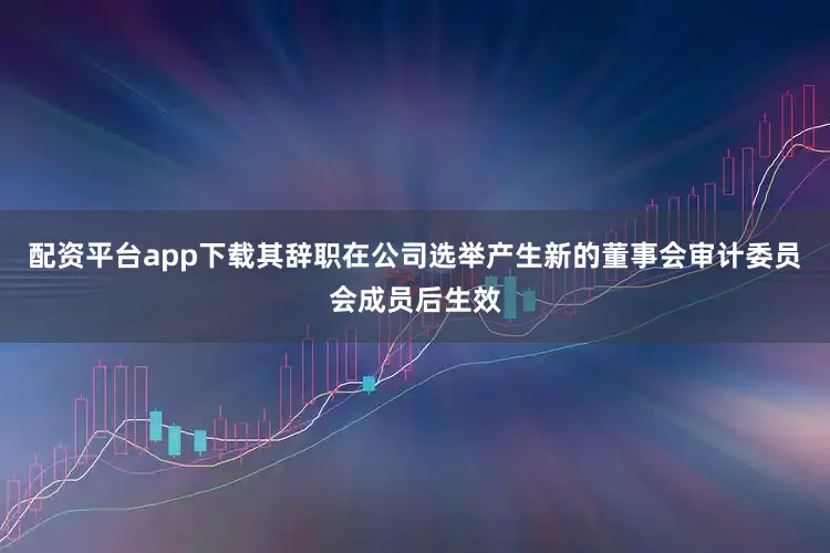 配资平台app下载其辞职在公司选举产生新的董事会审计委员会成员后生效