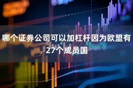 哪个证券公司可以加杠杆因为欧盟有27个成员国