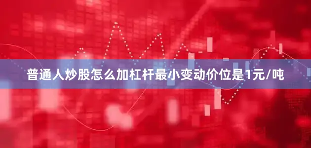 普通人炒股怎么加杠杆最小变动价位是1元/吨
