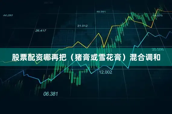 股票配资哪再把（猪膏或雪花膏）混合调和