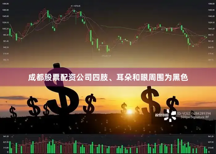 成都股票配资公司四肢、耳朵和眼周围为黑色